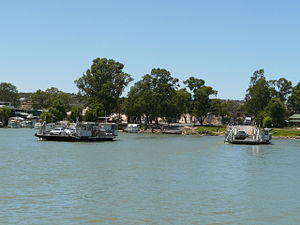 Dual cable ferries operating at Mannum, South Australia.