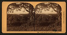 Rows of orange trees in an orange grove seen in between two trees in the foreground