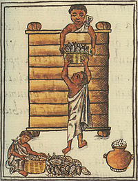 Aztecs storing maize, Florentine Codex, 1540/1585