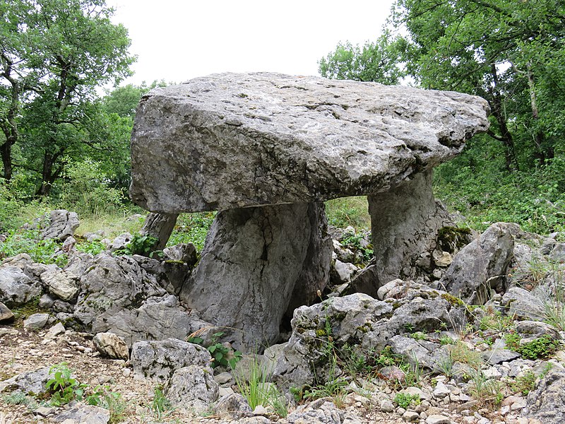 File:Dolmen de Brillaud.jpg