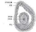 2015年5月12日 (二) 03:13版本的缩略图