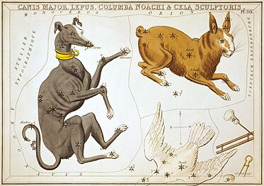 Carta 30: Canis Major, Lepus, Columba Noachi i Cela Sculptoris