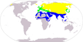 Breeding (yellow), wintering (blue) and year round (green) range.