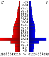 Bevolkingspiramide Centre County