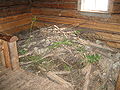 The beaver lodge inside Grey Owl's cabin.