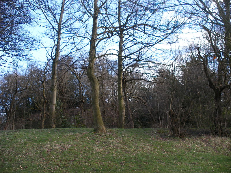 File:Earthwork and motte Lowe Hill.JPG