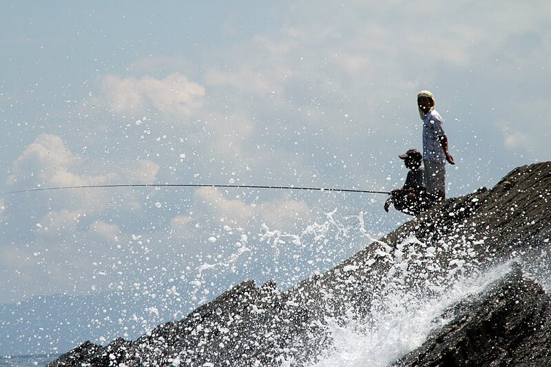 File:Fisherman at the coast of Wai Ao.jpg