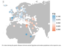 FST values showing the genetic distances between 90 ancient Egyptians and modern populations. Blue values depict higher genetic distances, red values depict lower genetic distances between the ancient Egyptian population and modern populations in the respective area.[5]