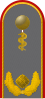 Generalarzt (human medicine)