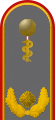 Dienstgradabzeichen eines Generalarztes (Approbation für Humanmedizin) auf der Schulterklappe der Jacke des Dienstanzuges für Heeresuniformträger