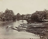 Log transport in the Dutch East Indies (now Indonesia) c. 1870