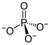 Struktur des Phosphations