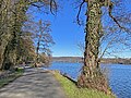 Ruhrtalradweg am Hardenbergufer (Baldeneysee)