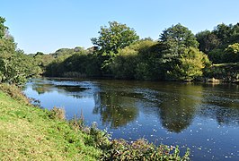 de Dart in Dartington