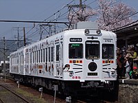 二つの「たま電車」 左：和歌山電鐵2270系電車2275F（貴志駅にて） 右:岡山電気軌道岡軌7100型電車7101（東山電停にて）