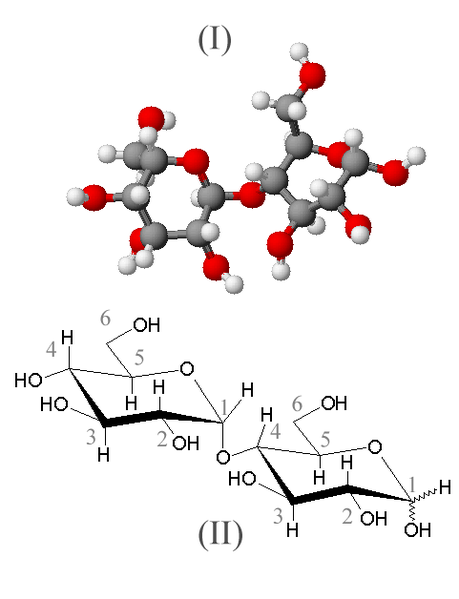 File:Maltose.png