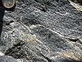 Gneiss amphibolitique. Début de rubanement gneissique causé par les lits de feldspath blanc.