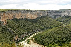 Vue des gorges de l'Ardèche, vers le cirque de la Madeleine.