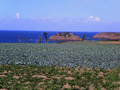 Île Du Guesclin vue des terres à Saint-Coulomb