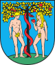 Bełchatów – Stemma