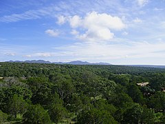 Bosques de la Sierra Fría.