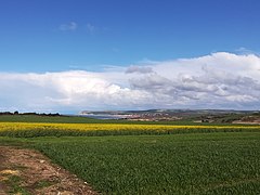 Cap Blanc-Nez vu d'Audinghen (2).jpg