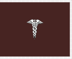 Flag of the United States Army Surgeon General