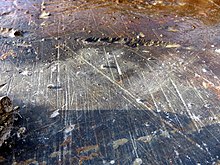 Glacial striations on bedrock in northern Maine, US