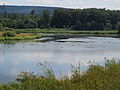 * Nomination: "Stockmühle" dam lake with near-natural islands and shores --Kreuzschnabel 17:42, 11 August 2013 (UTC) * * Review needed