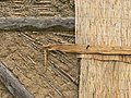 Wall structure of a Viking hut made of straw, clay and wattle