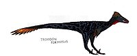 Troodon