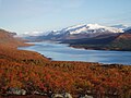 Parc national de Stora Sjöfallet, 15 décembre 2020