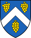 Wappen von Chigny