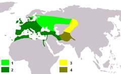 Carduelis carduelis carduelis 1 зун 2 жил тойрон Carduelis carduelis caniceps 3 зун 4 жил тойрон