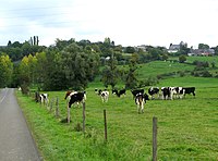 Vue du village et de l'église depuis la route de Marly-Gomont.