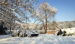 Лёррах’дагъы (Германия) Грюттпарк’да къышхы пейзаж