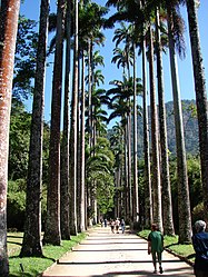 Jardim Botânico – Veduta