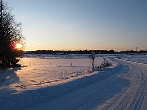 På fälten väster om Hovsta en januaridag 2010. Byn Kårsta ses i fjärran.