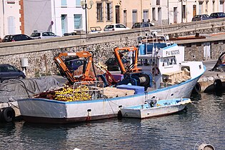 French sardine seiner