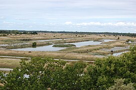 Marais, Saint-Pierre.