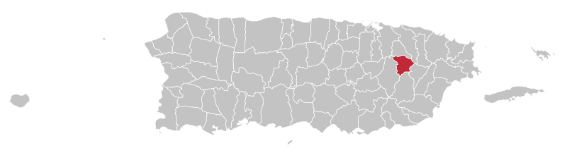 File:Locator-map-Puerto-Rico-Gurabo.svg