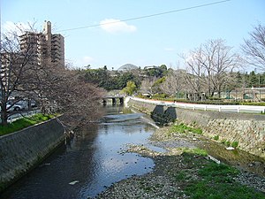 船場川 2006年4月撮影