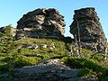 Mrazové sruby na vrcholu Vozky (1377 m n. m.) v Jeseníkách severně od Koutů nad Desnou