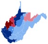 2010 West Virginia Senate Election