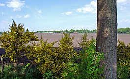 Zicht op de Hondsrug vanaf Bronnegerveen in de richting van Drouwen