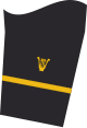 Dienstgradabzeichen eines Leutnants zur See (Militärmusikdienst) auf dem Unterärmel der Jacke des Dienstanzuges für Marineuniformträger