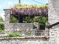 Terrasse fleurie et briquette calcaire.