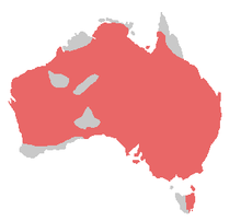 Bird range galah.png