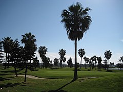 Español: Vista del campo de golf de Costa Ballena (Rota).