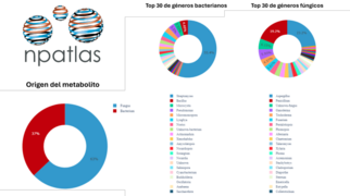 Distribución de los metabolitos en el NP-Atlas.png